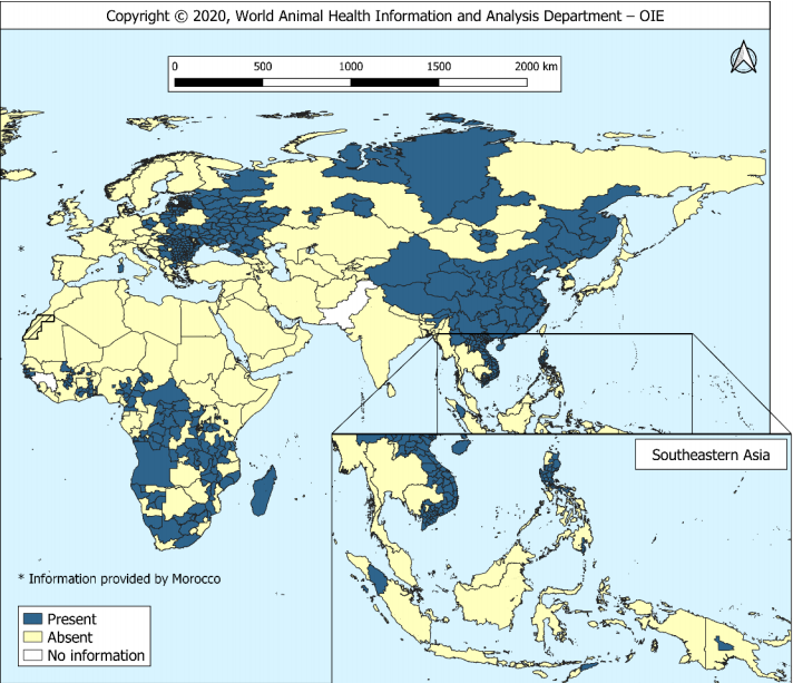 African Swine Fever