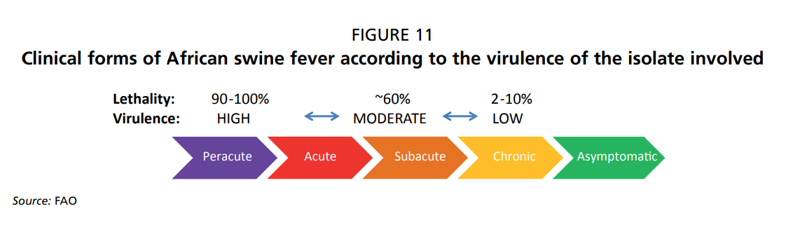 African Swine Fever